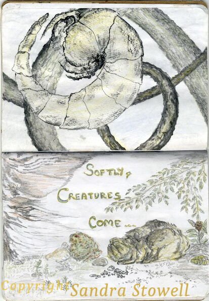 02 Softly Creatures Come.jpg