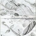 08 Under the Microscope
