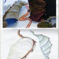 11 Dangerous Leaves