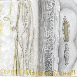 Sketchbook Project 2013