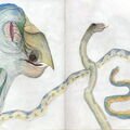 15 Bird and Snakes