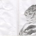 Pages 10-11 Sketchbook 2015 draft 001