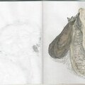 Pages 30-31 Sketchbook 2015 draft 001